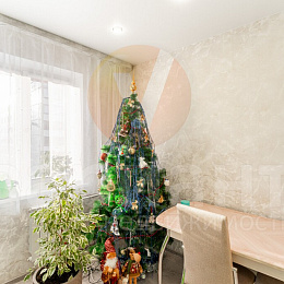 1 комнатная квартира<br>20 ЛЕТ РККА, 61/1