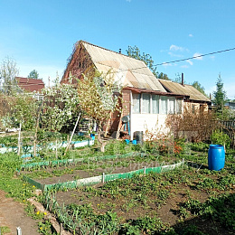 дача<br>СТ ЛУЧ, село Дружино