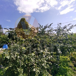 СТ ЛУЧ, село Дружино, 